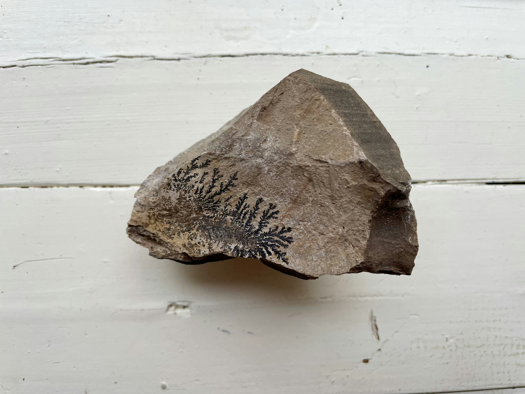 Dendriter