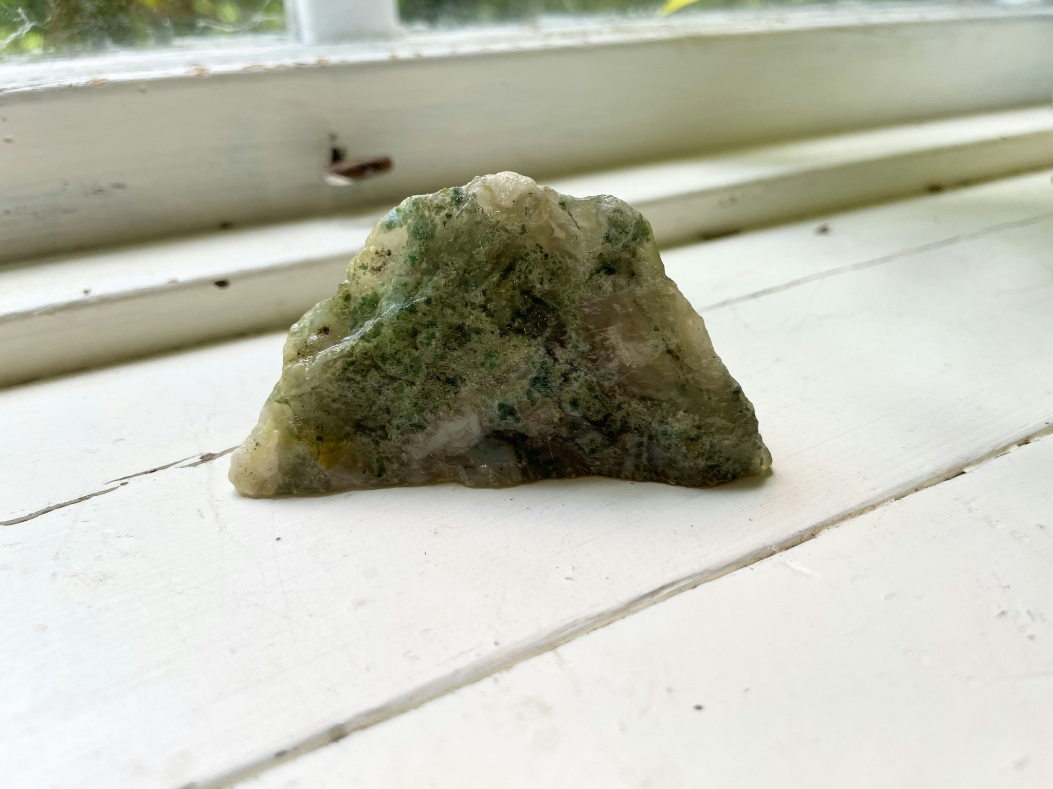 Grön & blå Mossagat