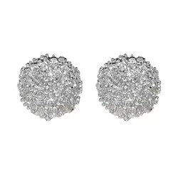 Yuilia Earrings Silver