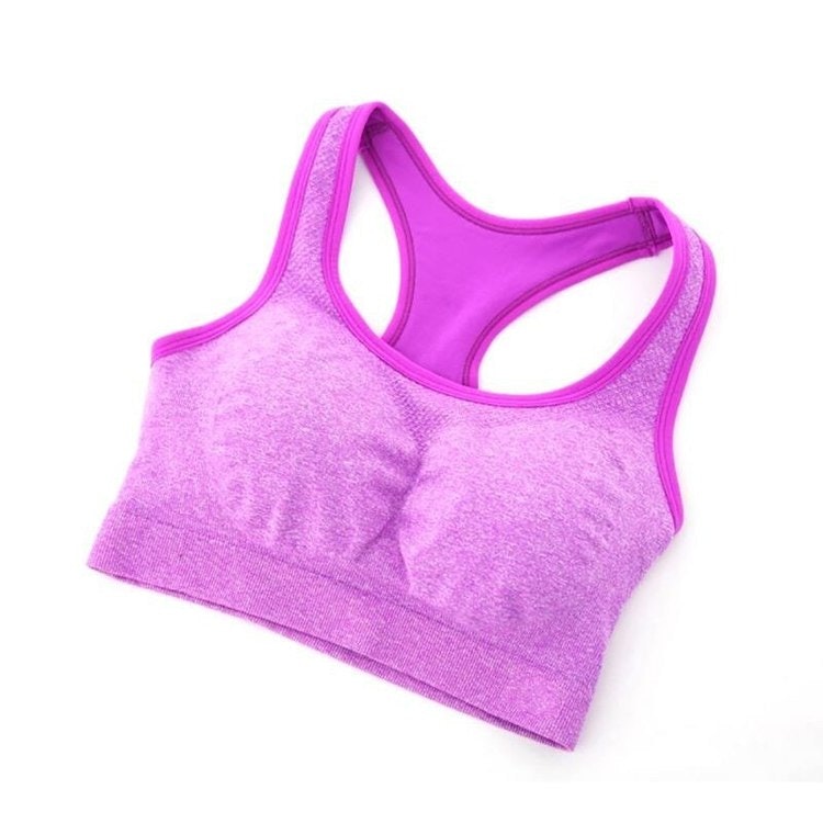 Seamless Sports Bra Purple