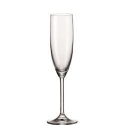 Champagneglas 200ml Daily 6stk