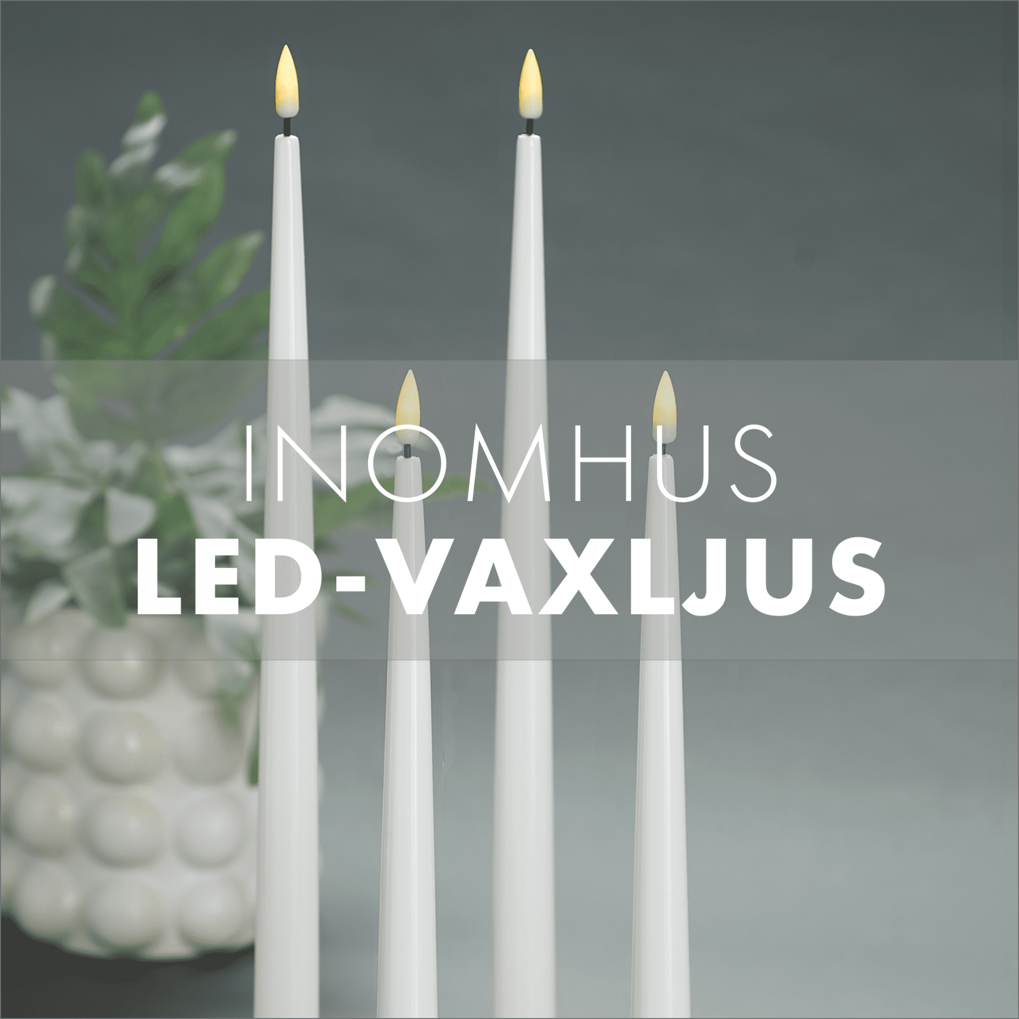 Inomhus LED-Ljus - Haika Adventure AB