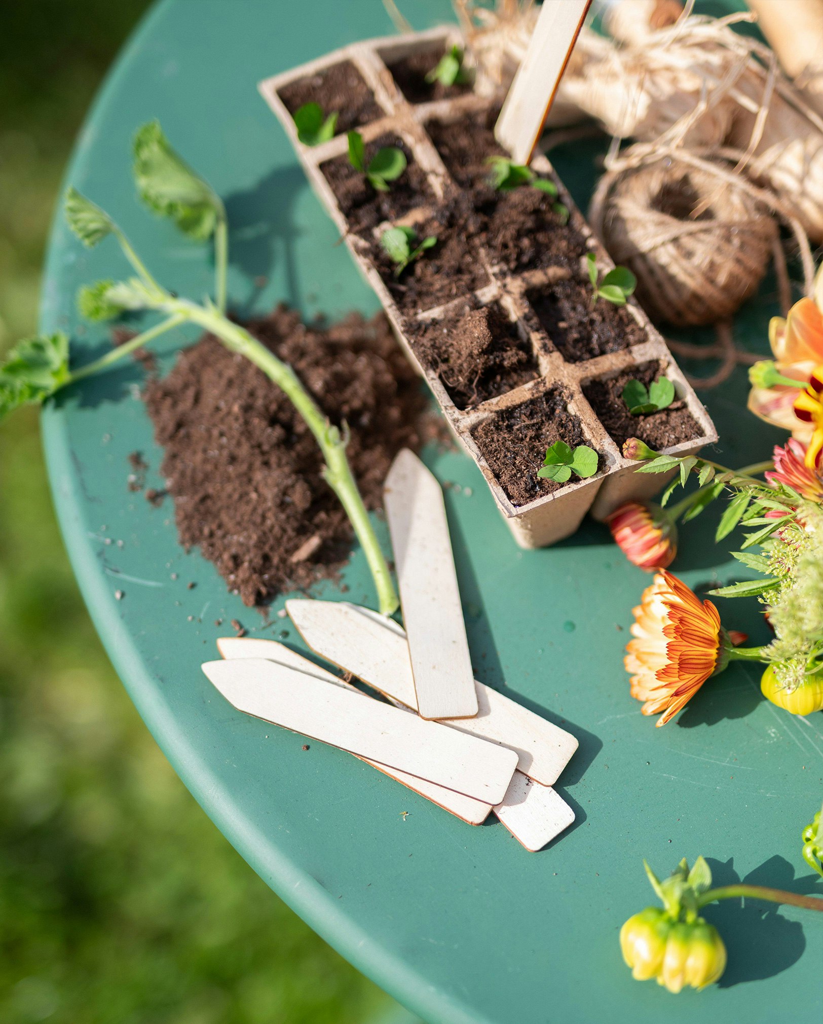 Seeding Trays & Markers