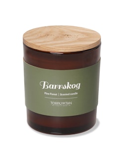 Doftljus Barrskog 310g