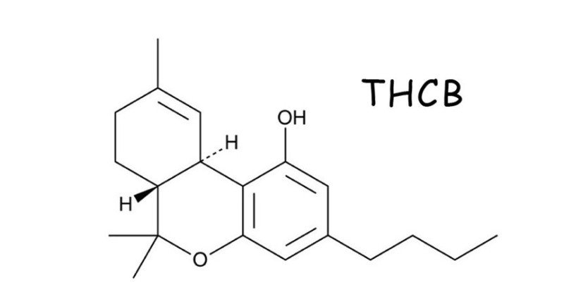 THCB - Den perfekta cannabinoiden?
