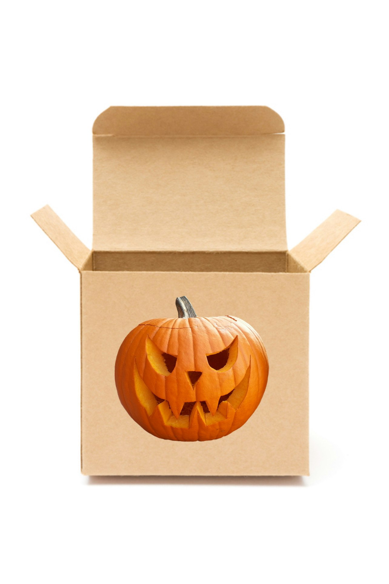 Pumpkin box 1