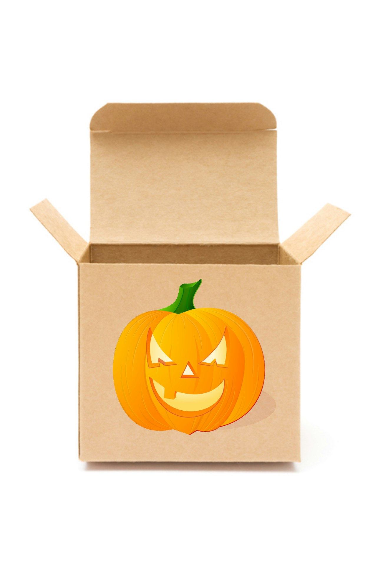 Pumpkin box 2