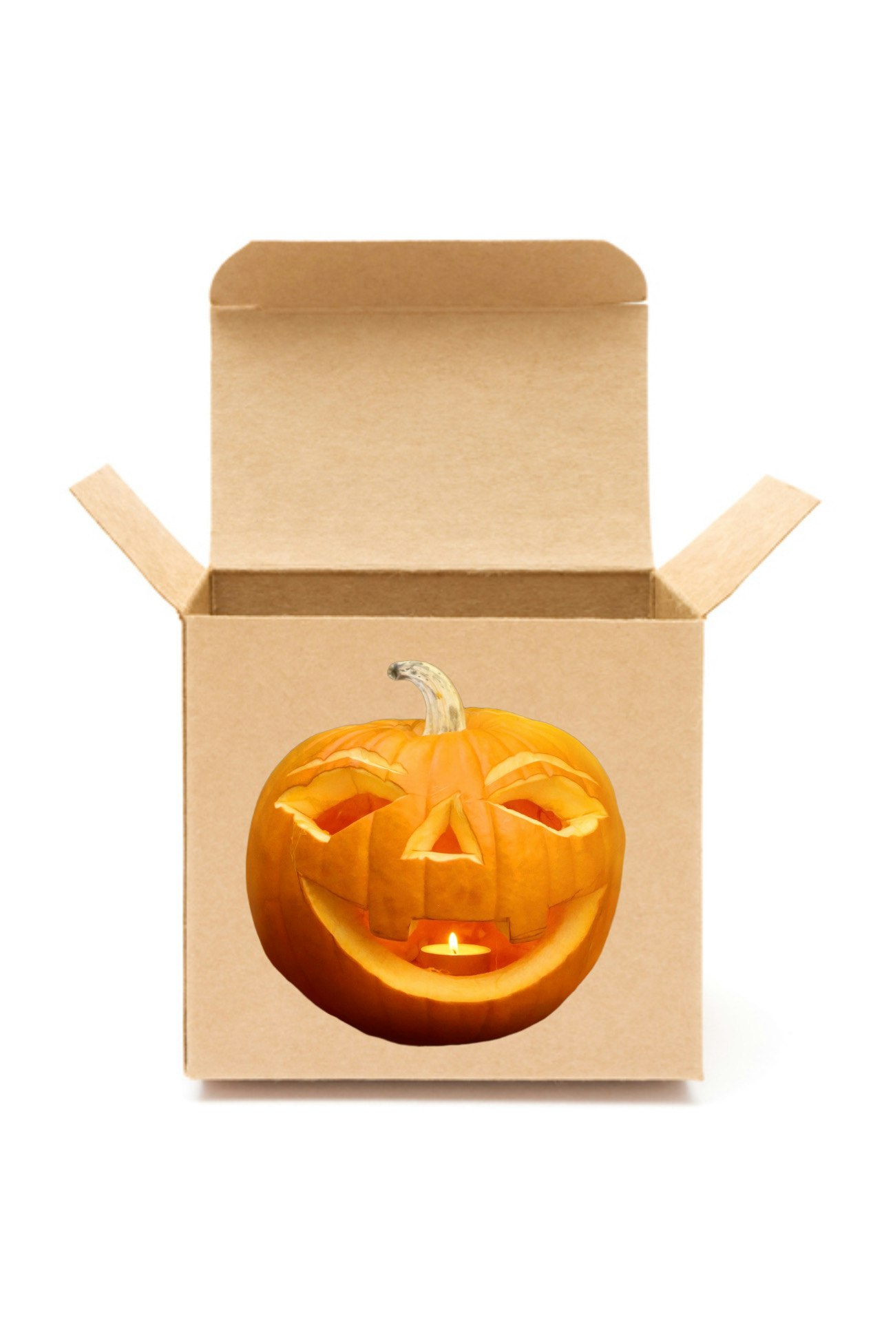 Pumpkin box 3