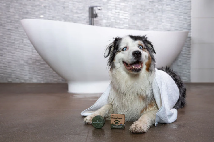 Hundschampo bar, universal