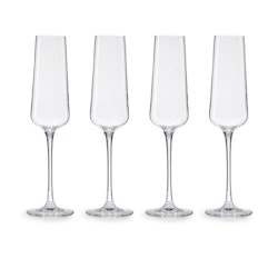 Mischas Champagneglas 4-pack