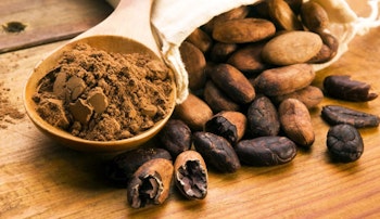BioBética EKOLOGISK KAKAO pulver 250g utan socker-tillsatser