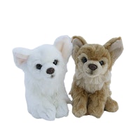 Hund Chihuahua