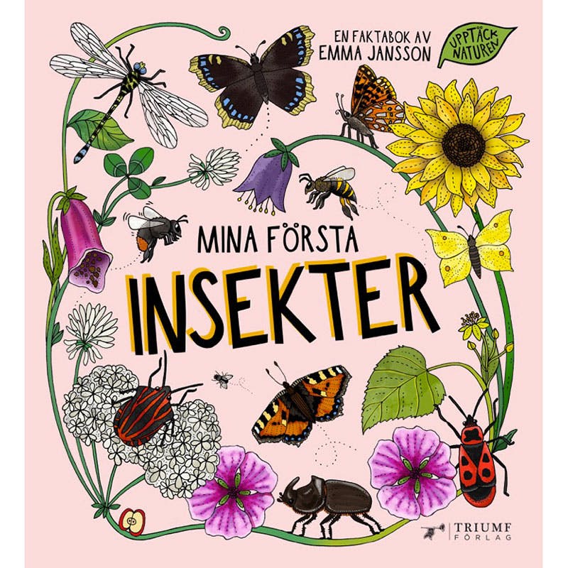Bok - Mina första insekter