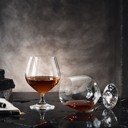 Orrefors More Prestige Cognac 50 cl. glas 4-pack