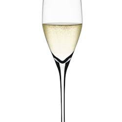 Spiegelau Authentis Champagne glas 19 cl. 4-pack