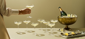Eva Solo Champagne Coupe vin glas 20 cl.