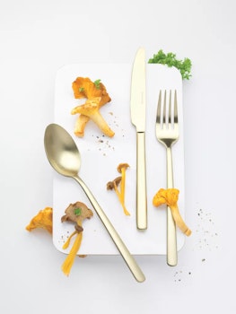 Eternum Nardo Bestickset Champagne 16 delar. Rostfritt