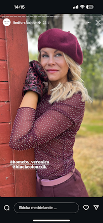 Alexis mesh strass vinröd