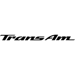 TRANS AM | ENDAST TEXT