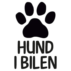 HUND I BILEN | STÅENDE