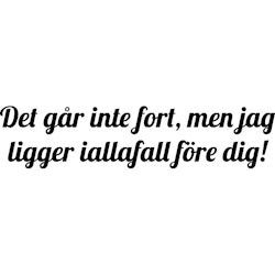 DET GÅR INTE FORT...