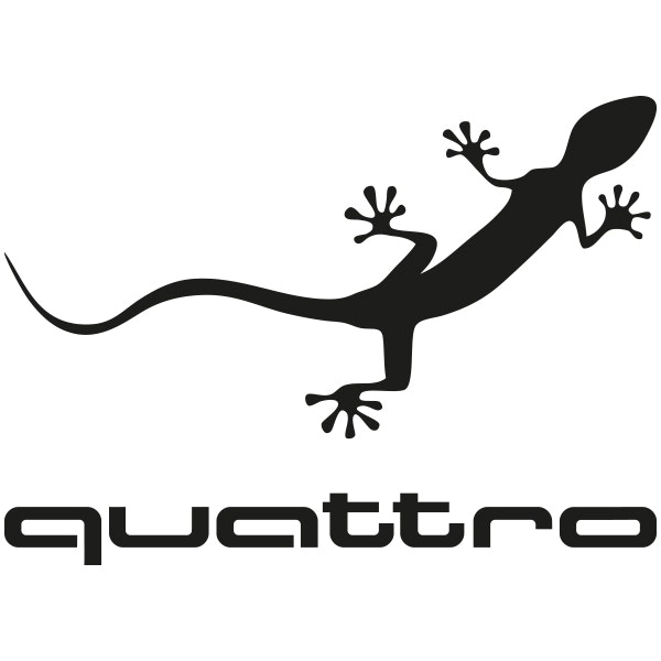 AUDI | QUATTRO GECKO