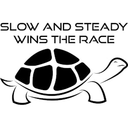 SLOW AND STEADY WINS THE RACE