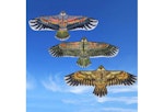 Flyga drake - Rolig Sport ,1.1m Flygande drake. Mått: 110 x 50 cm. Motiv: Örn