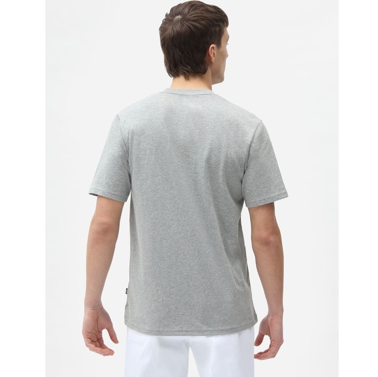 T-Shirt ICON logo Grey - Dickies
