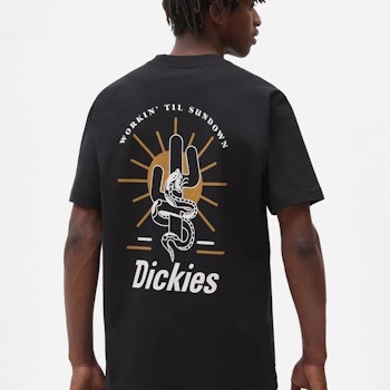 T-Shirt Bettles Black - Dickies