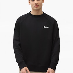 Sweatshirt Bettles Black - Dickies