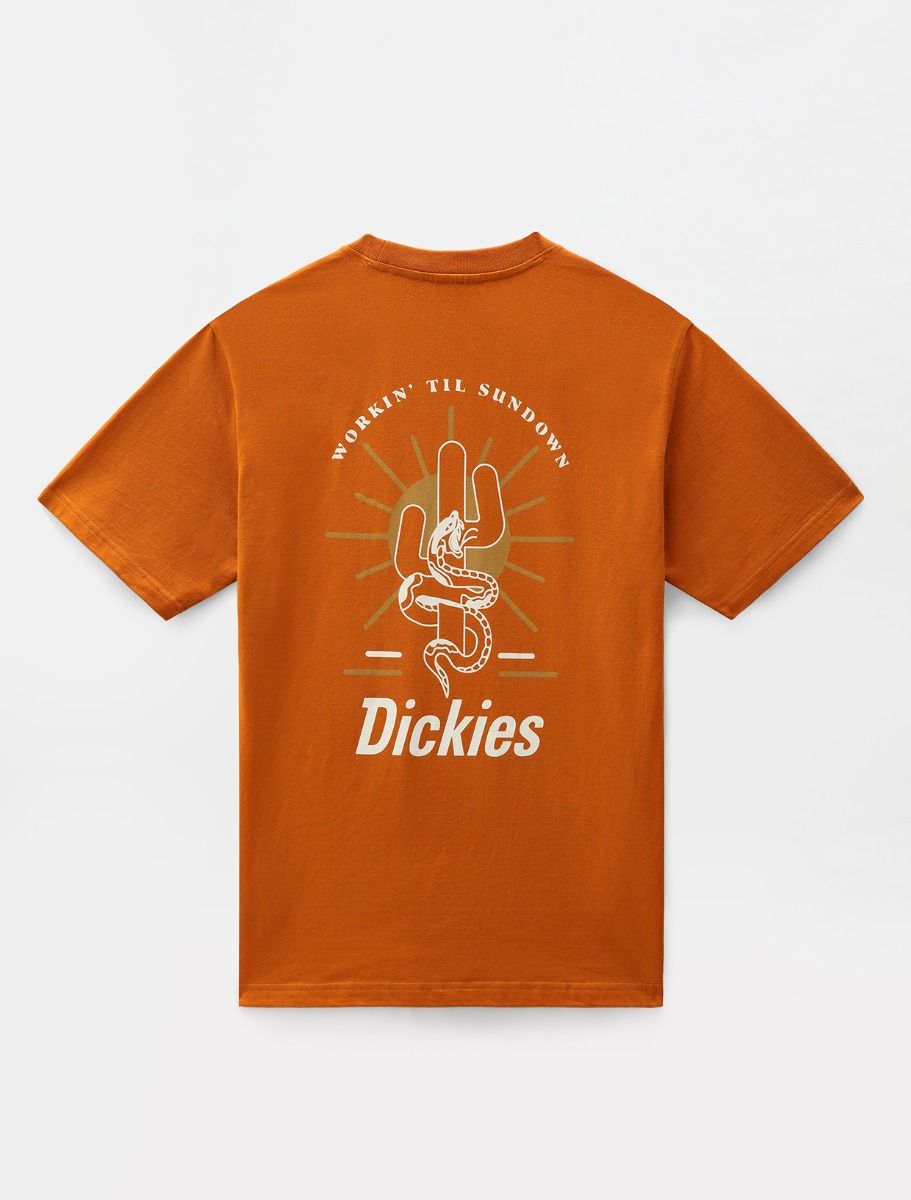 T-Shirt Bettles Pumpkin Spice - Dickies