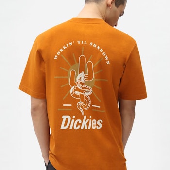 T-Shirt Bettles Pumpkin Spice - Dickies