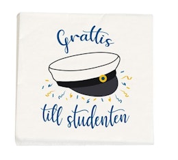 PAPER NAPKINS STUDENTMÖSSA 33 x 33 XM 16-P