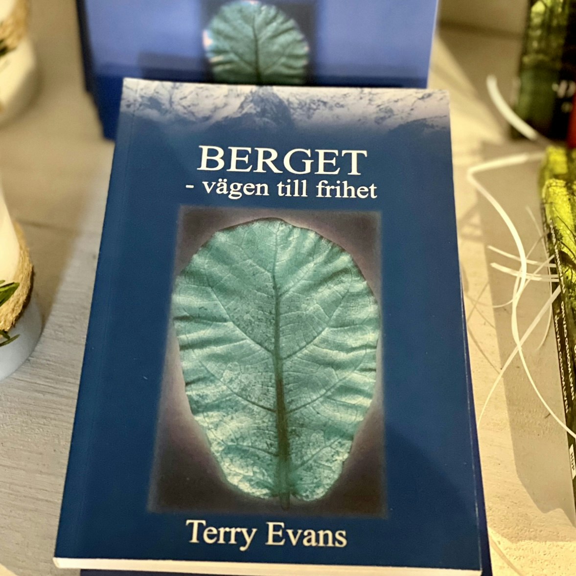 Berget - Vägen till frihet. Terry Evans