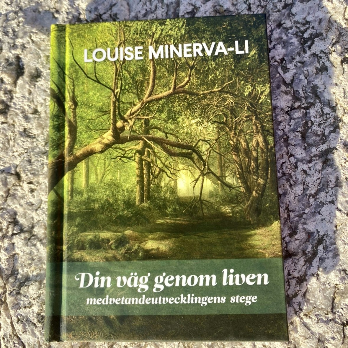 Din väg genom liven. Louise Minerva-Li