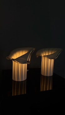 Calla lily