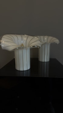 Calla lily