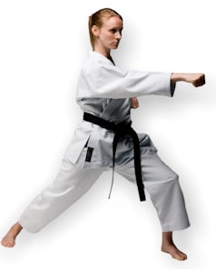Karate - Kampsport/Stil - Budolagret