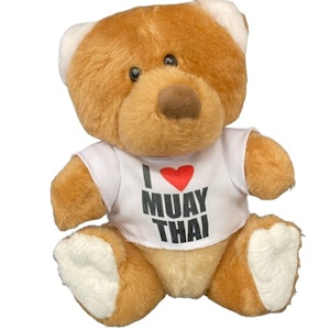 Nalle I Love Muay Thai