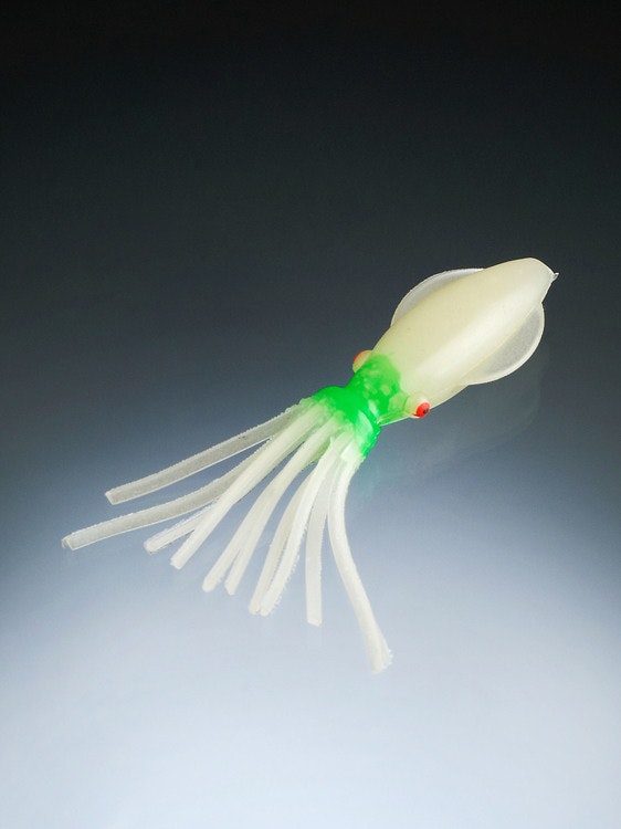 Fluorescerande bläckfisk