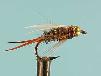 Prince Nymph #12