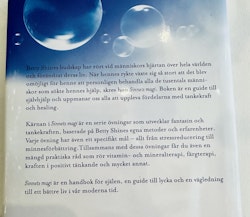 Sinnets Magi