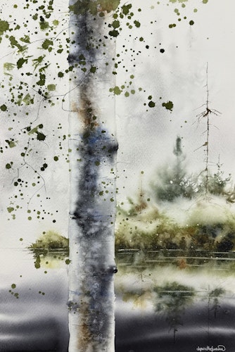 Birch in the mist