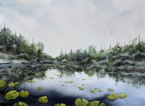 Näckrostjärn