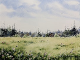 Midsommaräng