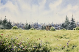 Pollinera mera