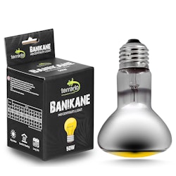 Terrario Banikane Neodymium Light - värmelampa