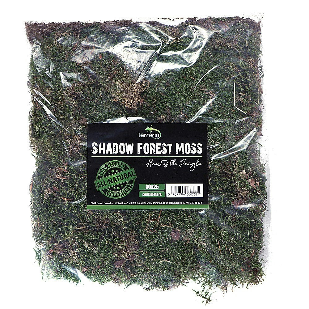 Terrario Shadow Forest Moss - Naturlig mossa