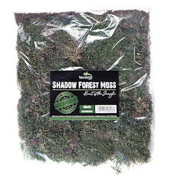 Terrario Shadow Forest Moss - Naturlig mossa